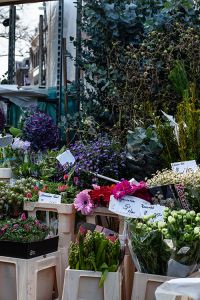 Bloemen op zaterdag - Peter Leegwater